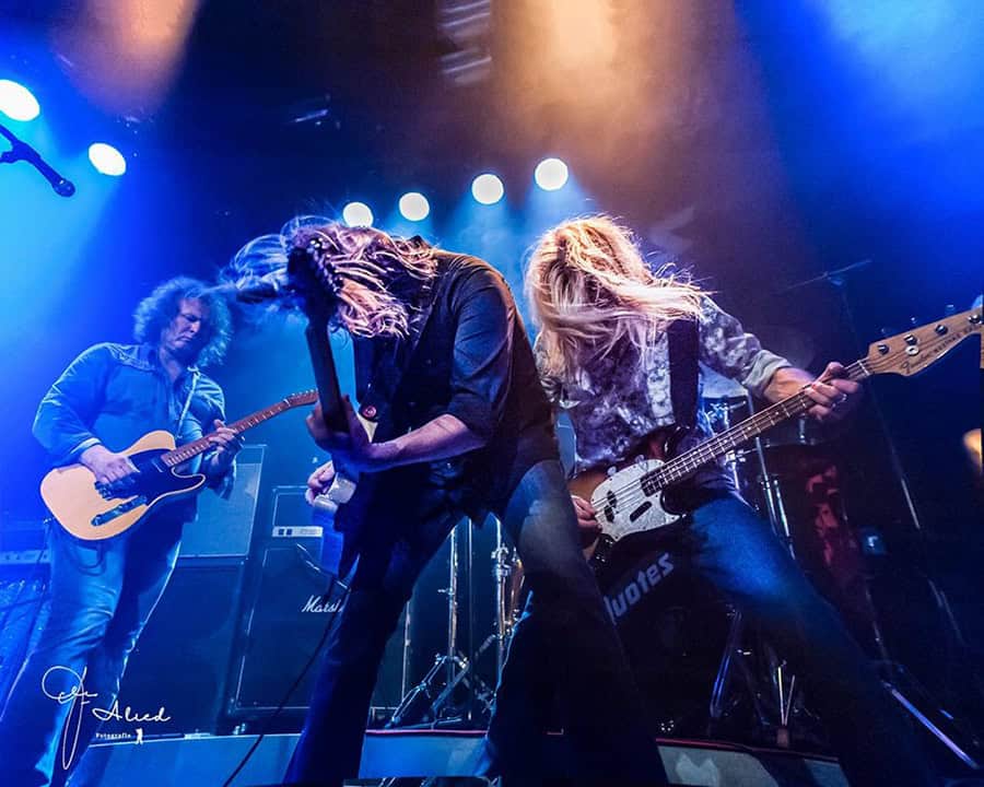 Tributeparty, Nijmegen, Status Quotes, Status Quo, tribute